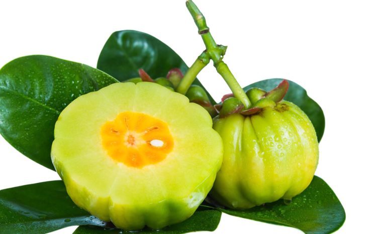  GARCINIA CAMBOGIA NEL CONTROLLO DEL PESO E DEI DISMETABOLISMI